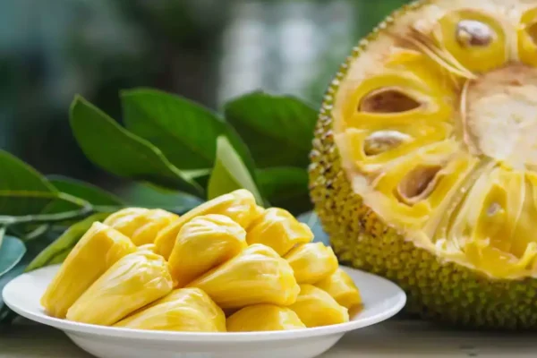 Jackfruit