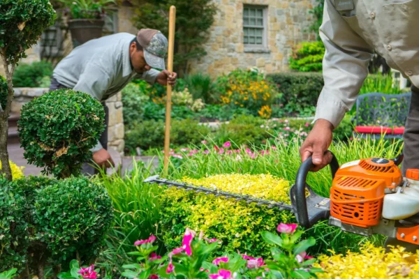 The Rise of Garden Landscaping in Dubai Creating Urban Oases