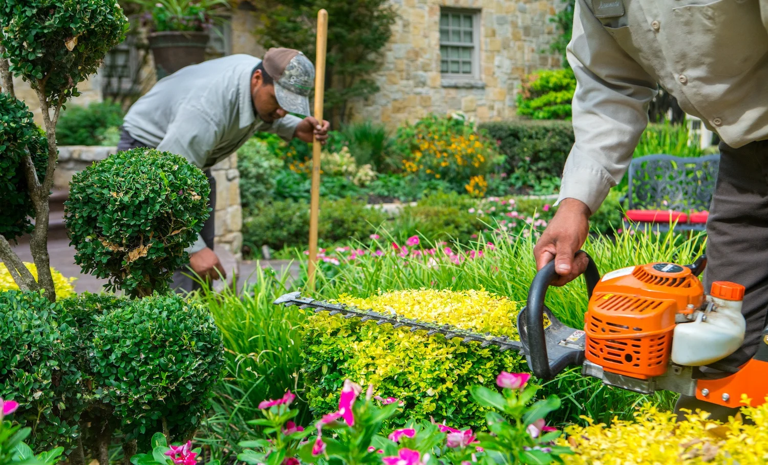 The Rise of Garden Landscaping in Dubai Creating Urban Oases